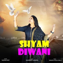 Shyam Diwani-JgYnCQACaGQ