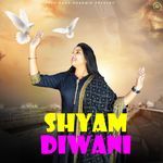 Shyam Diwani