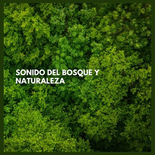 Sonido del Bosque y Naturaleza, Pt. Dieciocho cover art