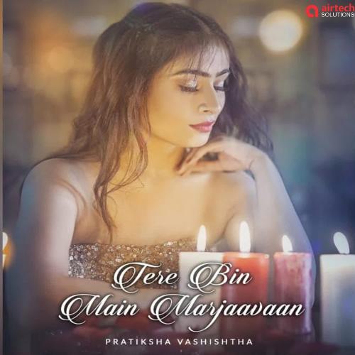 Tere Bin Main Marjaavaan_poster_image