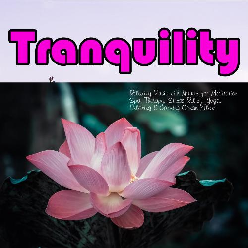 Tranquility: Relaxing Music with Nature for Meditation Spa, Therapy, Stress Relief, Yoga, Relaxing &amp; Calming Ocean Flow_poster_image