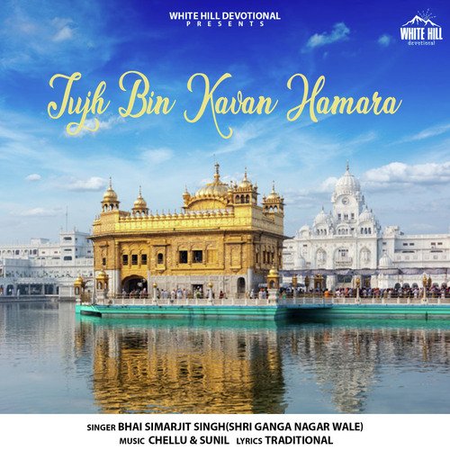 Tujh Bin Kavan Hamara cover art