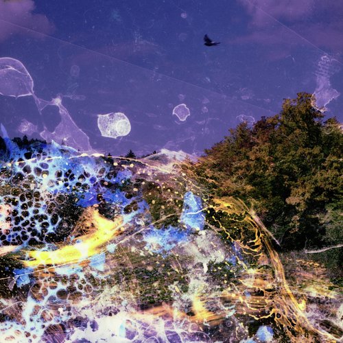 Hazel cover art