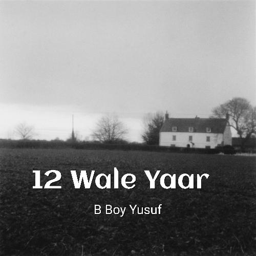 12 Wale Yaar