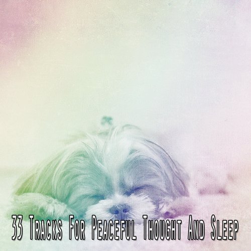 33 Tracks For Peaceful Thought And Sleep