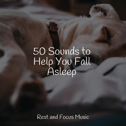 50 Sounds to Help You Fall Asleep