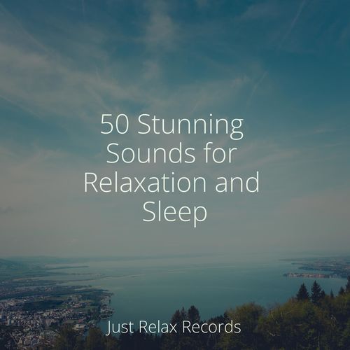 50 Stunning Sounds for Relaxation and Sleep_poster_image