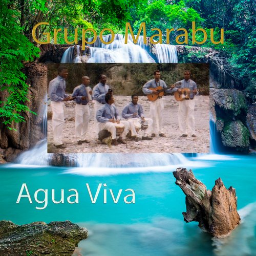 Agua Viva cover art
