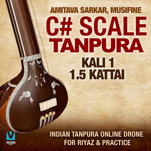 C# Scale Tanpura - Kali 1, 1.5 Kattai (Indian Tanpura Online Drone For Riyaz & Practice)