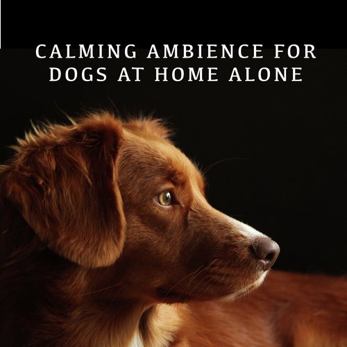 Chillout Dog Times cover art