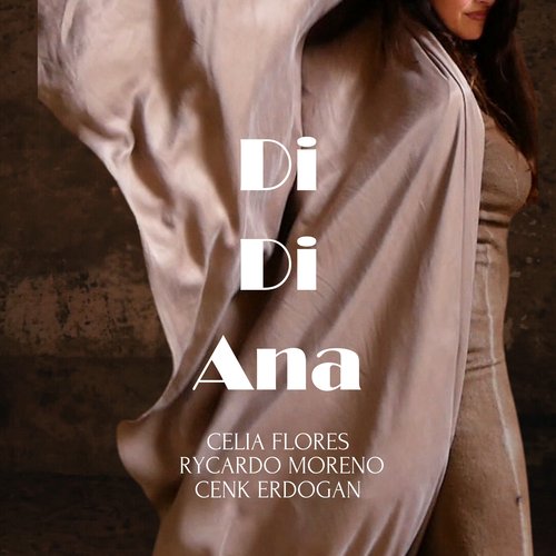 Di Di Ana_poster_image