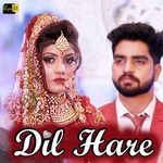 Dil Hare