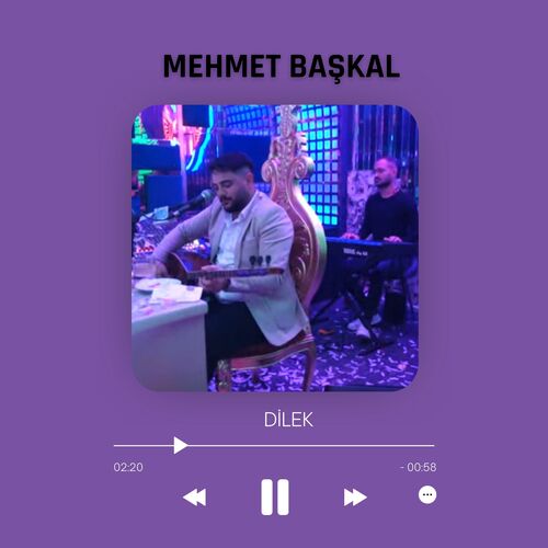 Dilek cover art