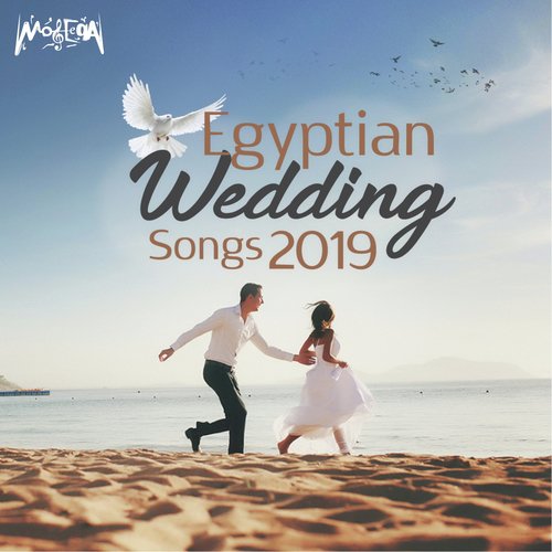 Egyptian Wedding Songs 2019