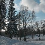 The Infamous Witch Clan