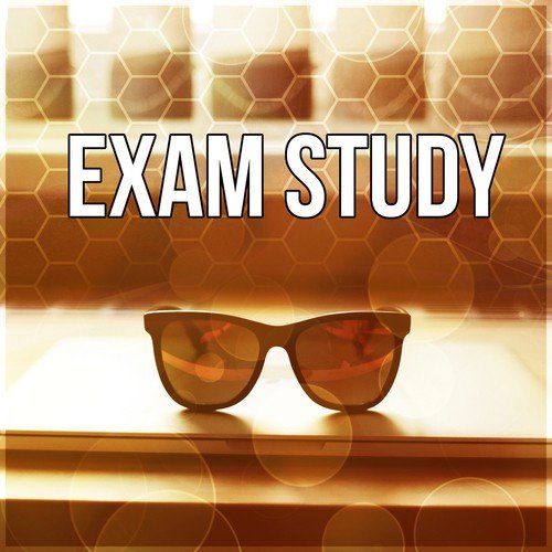 Exam Study - Background Music for Learning, Study Skills, Brain Exercises, Increase Concentration, Improve Memory