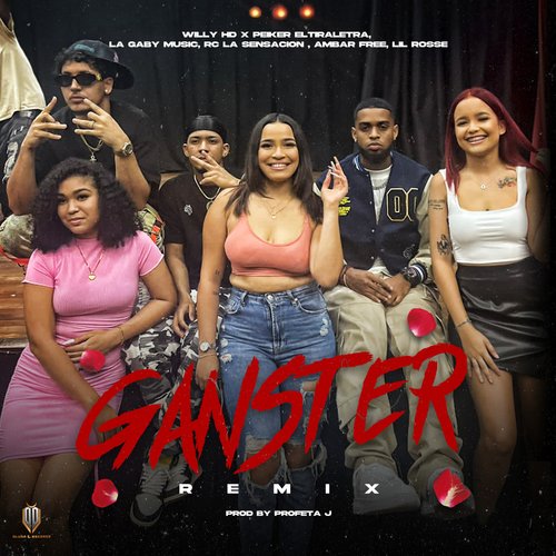 Ganster (Remix)_poster_image