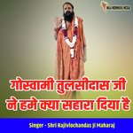 Goswami Tulsidas Ji Ne Hume Kya Sahara Diya Hai artwork
