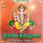 Kanipakamuna Velasina Deva