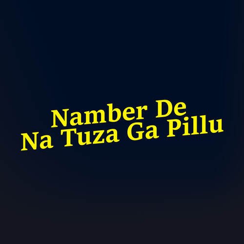 Namber De Na Tuza Ga Pillu