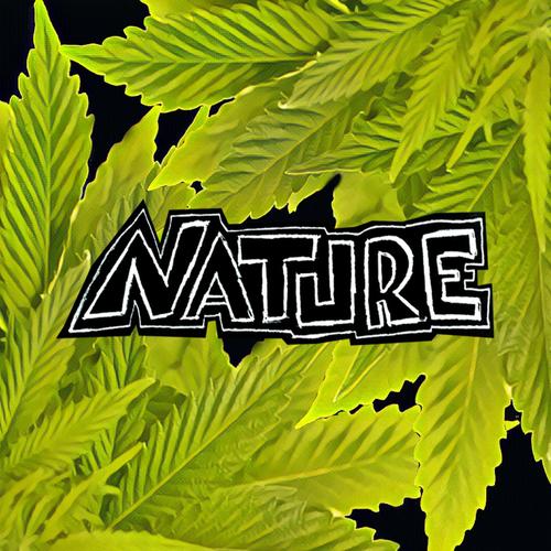 Nature Pop (feat. Harish)