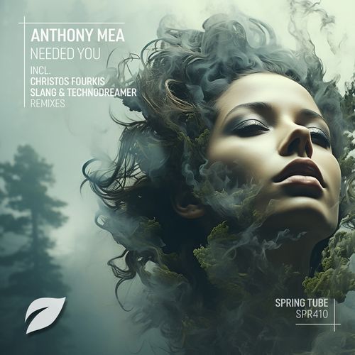 Needed You (Christos Fourkis Remix)