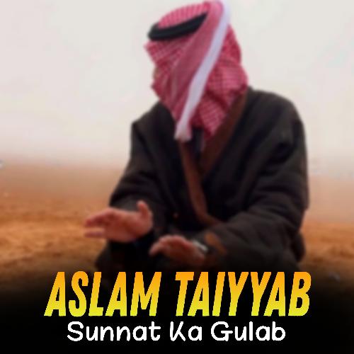 Sunnat Ka Gulab