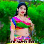 Tu Meri Heer