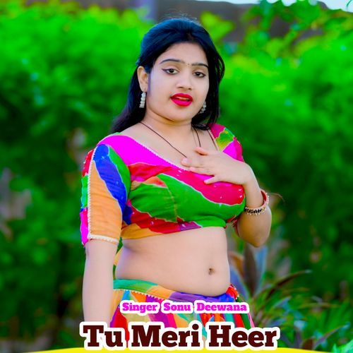 Tu Meri Heer