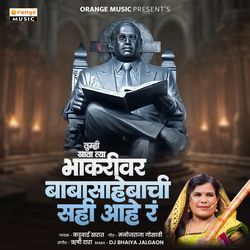 Tumhi Khata Tya Bhakari Ver Baba Sahebachi Sahi Hay R (Remix)