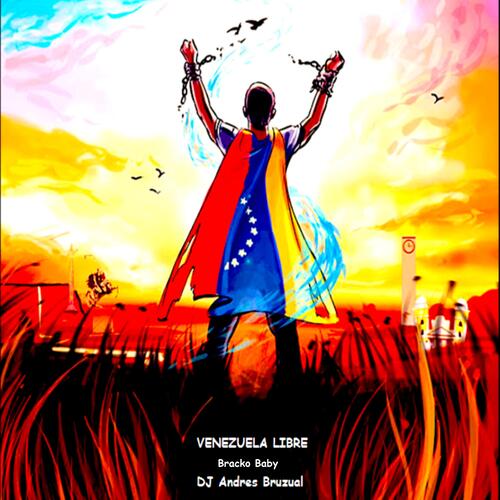 VENEZUELA LIBRE_poster_image