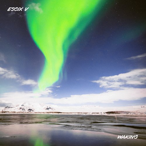 Waking cover art
