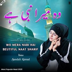 Wo Mera Nabi Hai.