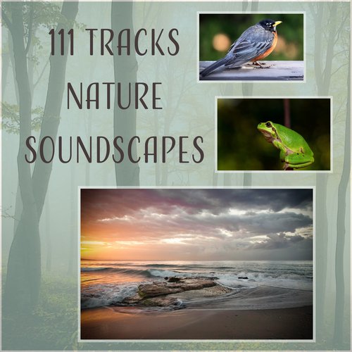 Relaxing Mindfulness Meditation Relaxation Maestro cover art