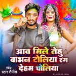 Aaw Mile Tehu Babhan Toliya Rang Deham Choliya