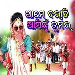 Ame Barati Asichhu Tumara