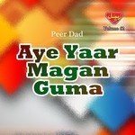 Aye Yaar Magan Guma, Vol. 62