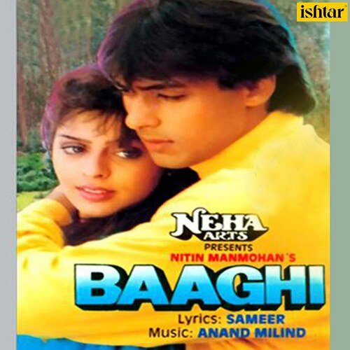 Baaghi - A Rebel For Love