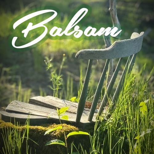Balsam
