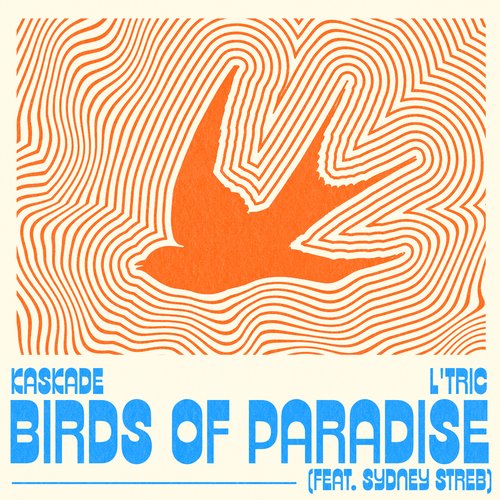 Cool Paradise: Lyrics