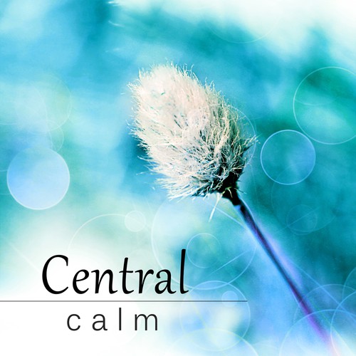 Central Calm - Relaxation Music To Chill Out, Piano Jazz Collection, Piano  Bar, Background Music, Jazz Lounge Songs Download - Free Online Songs @  JioSaavn