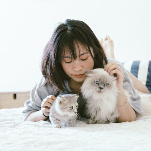Lazy Morning cover art