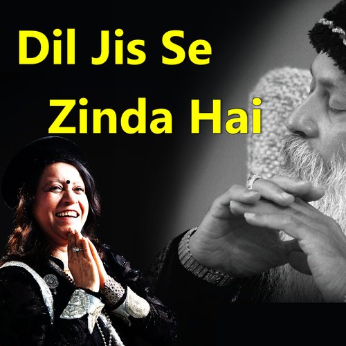 Dil Jis Se Zinda Hai cover art