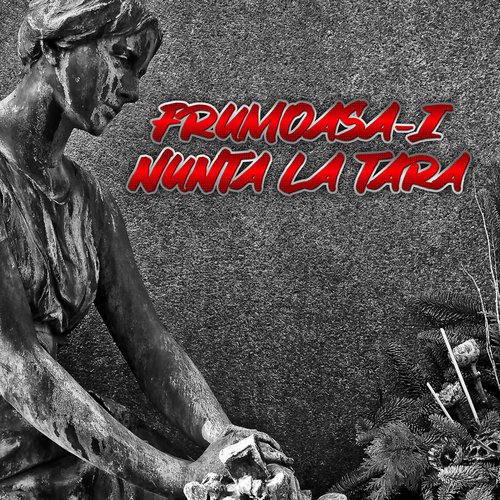 FRUMOASA-I NUNTA LA TARA cover art