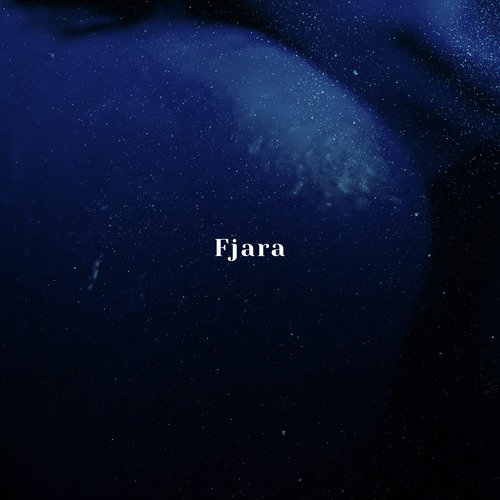 Fjara_poster_image