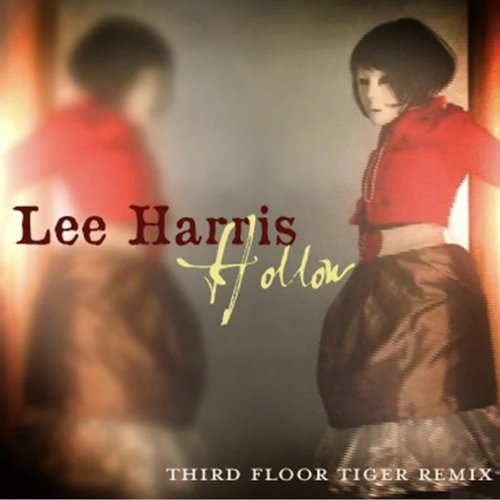 Hollow (Third Floor Tiger Remix) cover art