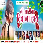 Mi Aunty Cha Deewana Hay