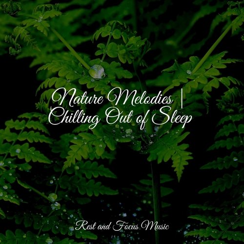 Nature Melodies | Chilling Out of Sleep