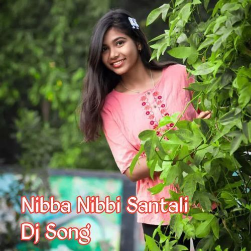 Nibba Nibbi Santali Dj Song