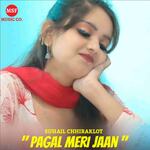 Pagal Meri Jaan